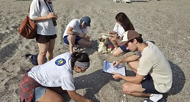Kızılot Kumsalında Caretta Caretta'lar İçin Nöbet'e Çıktılar