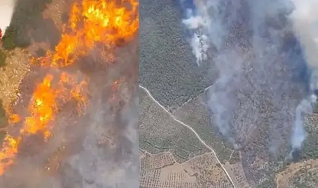 Manisa'da korkutan yangın: orman alevler içinde kaldı!