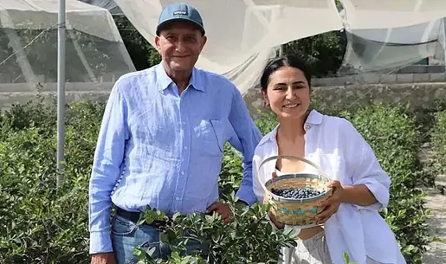 Özel sektörü bırakıp, tarıma yöneldiler!