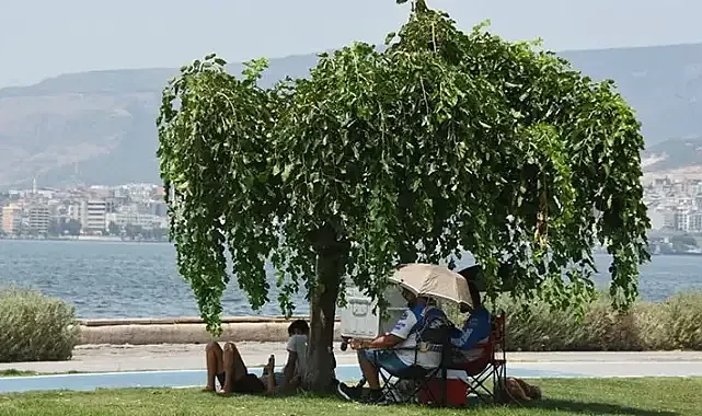 Prof. Dr. Yaşar: