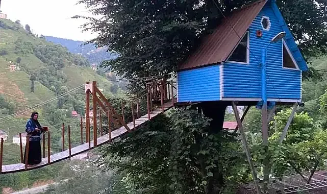 Rize'de İki Kardeş, Ağaç Evlerinden Kendi Evlerine Asma Köprü Yaptı!