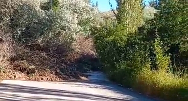 Sarıoğlan’da heyelan ulaşımı durdurdu