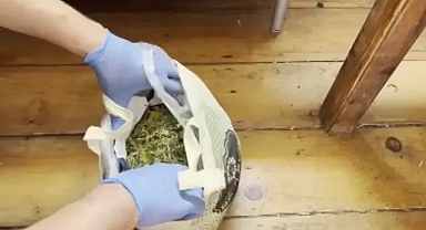 Ünlü yönetmen ve kardeşi adliye yolunda!