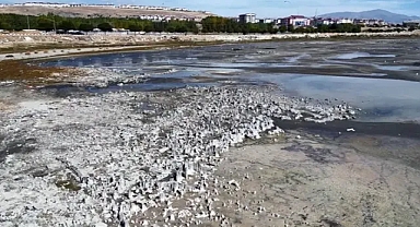 Van Gölü'nün Su Seviyesi Yükseldi: Mikrobiyalitler Tekrar Su Altında!