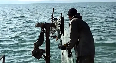 Yasak kalktı, balıkçıların yüzü güldü!